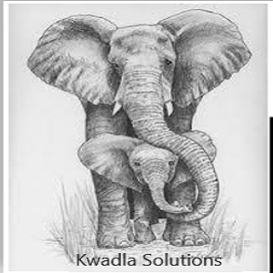 kwadla.png